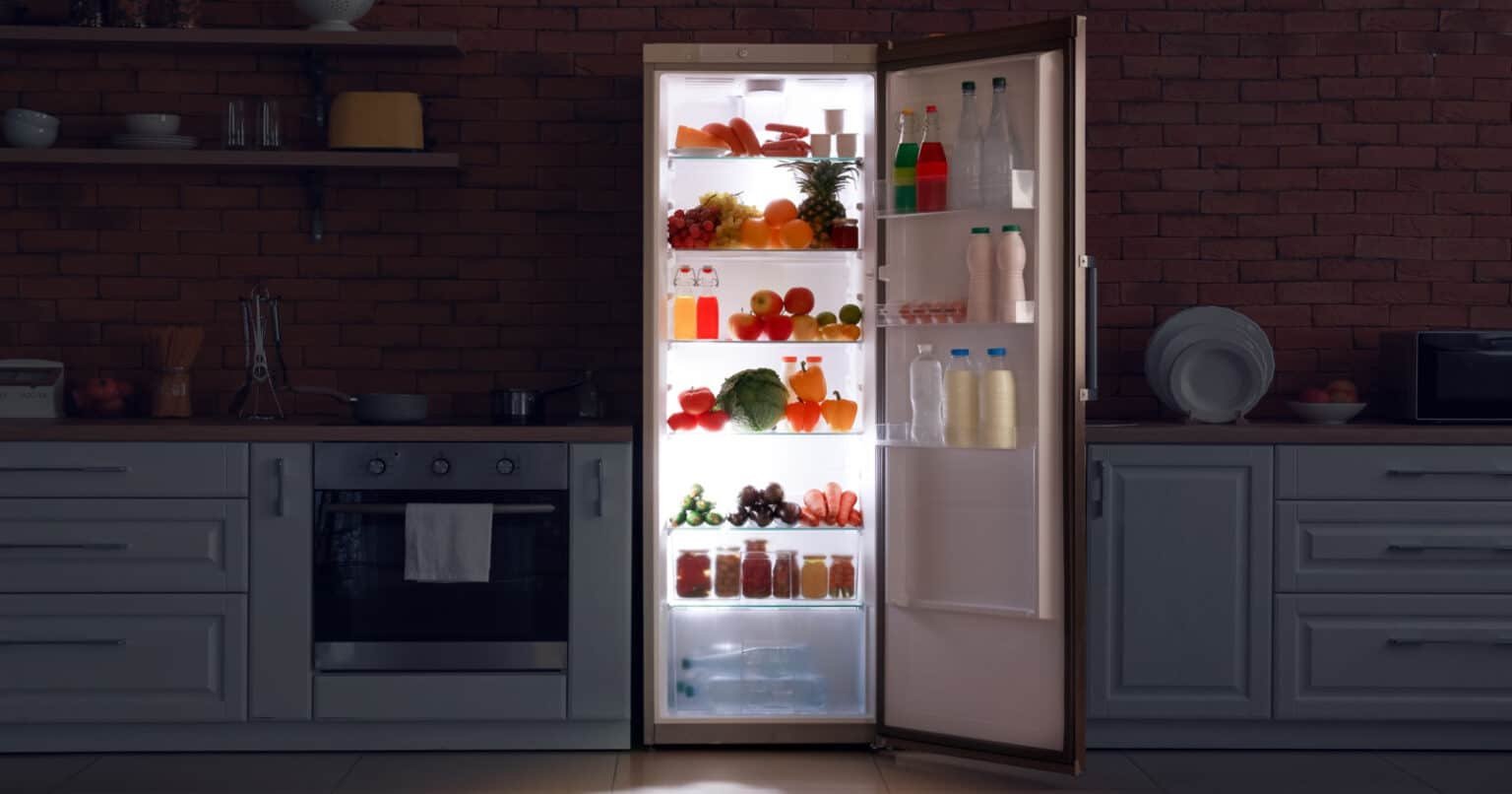 Refrigerator Buying Guide India - Complete Fridge Buying Guide - Home ...